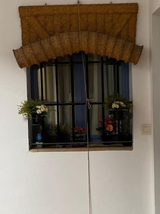 Hispalis Casa Pilatos Sewilla Zewnętrze zdjęcie